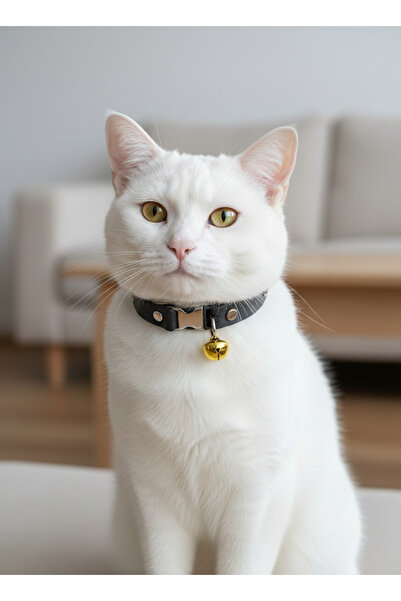 balkonda Cat Collar Leash Adjustable Genuine Leather Dark Anthracite with Bell