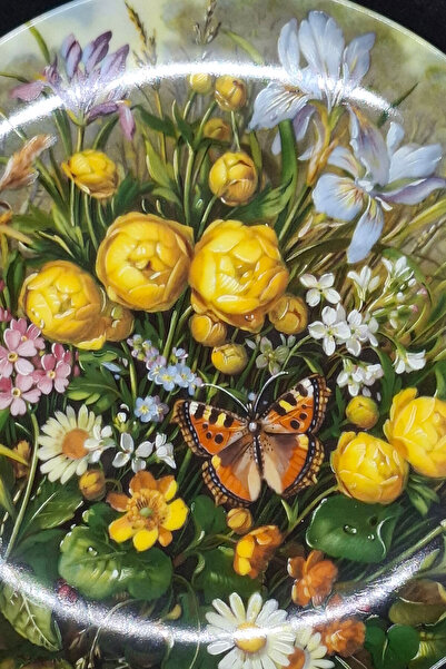 FÜRSTENBERG Series in the Lake 1989 Year Wild Beauties Porcelain Wall Plate 22 cm