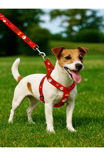Angelapets طقم طوق وحزام للكلاب بتصميم عيد الميلاد