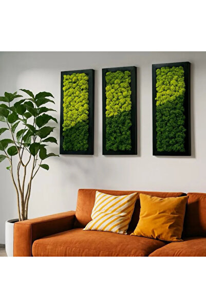 Narium Set tablouri cu licheni stabilizați 50x15 cm