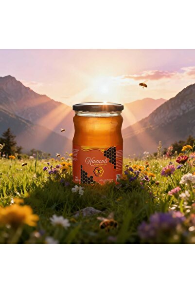 Hazanlı Bingöl Yayla Balı 850gr