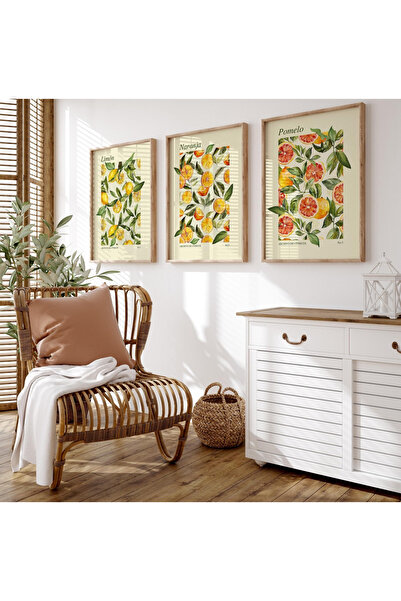 woodhomeworks Ahşap Çerçeveli 3 Lü Soyut Tablo limon bahcesi