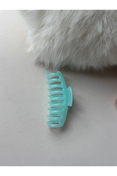 YOYYO Women's Hair Clip Latch Model Colorful Large Size Hair Accessory