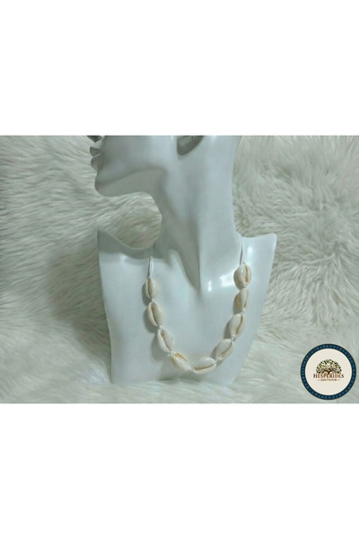 hesperides Seashell Model Necklace