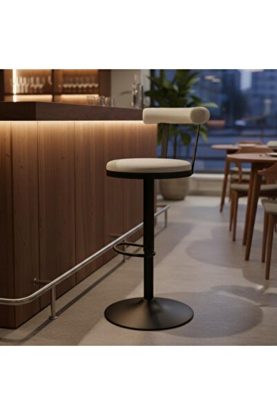 DEC34 A professional bar stool with a stylish and distinctive design