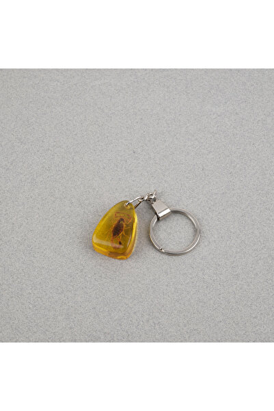 LapisDo A crep Fosilă breloc -Tip E