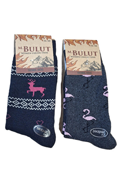 Nisa خياطة مخفية جوارب حرارية سميكة للسيدات بنمط مختلط، عبوة من قطعتين