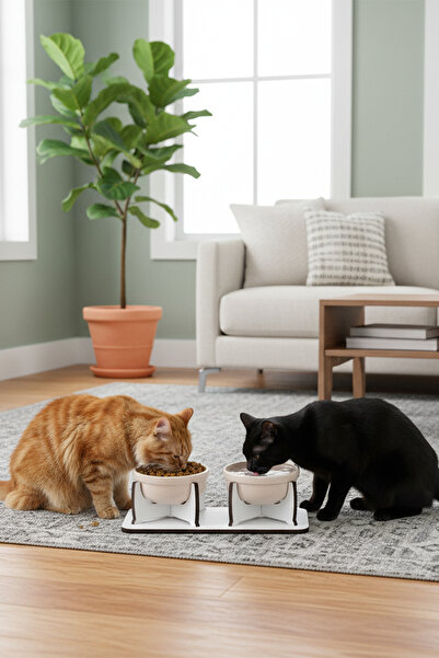 GOBYPET Ahşap Sabit Tabanlı 2'li Mama Ve Su Kabı