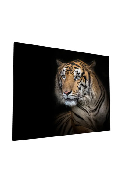 PozaTablou Pânză: Portret de tigru în lumină dramatică 40x30 cm