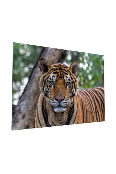 PozaTablou Pictură pe pânză: Portret realist al unui tigru în natură - 90x70 cm