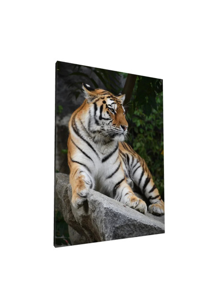 PozaTablou Pictură pe pânză: Tigru regal pe stâncă 80x110 cm