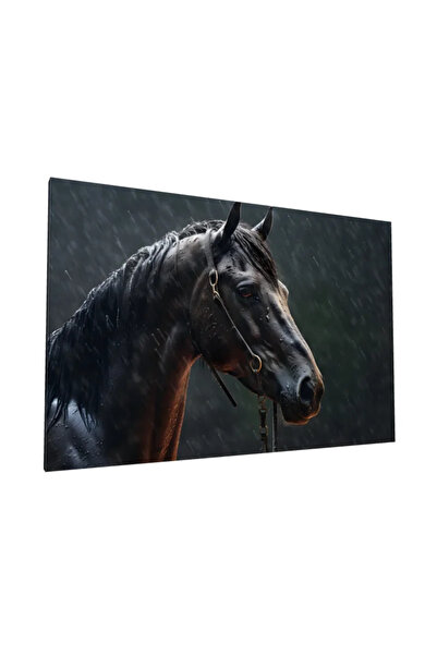 PozaTablou Pictură pe pânză: Portret de cal în ploaie 120x80 cm
