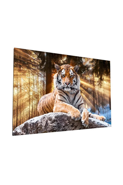 PozaTablou Pictură pe pânză: Tigru în pădure, răsărit de soare 40x30 cm