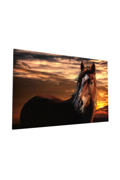 PozaTablou Pictură pe pânză: Cal la apus, detalii realiste, 100x70 cm