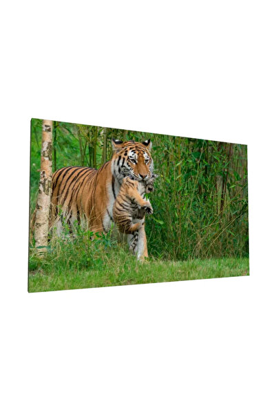 PozaTablou Pictură pe pânză: Tigru cu pui printre bambus 50x30 cm