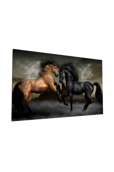 PozaTablou Pictură pe pânză: Cai sălbatici în lumină și umbre 100x60 cm