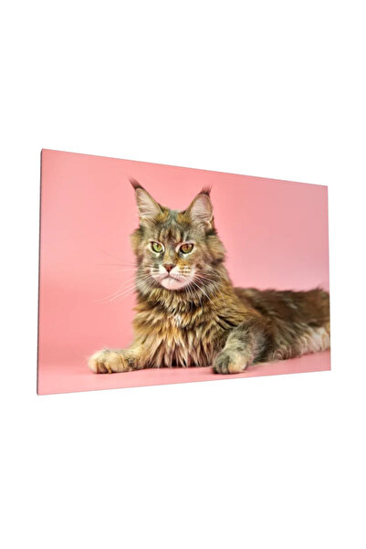 PozaTablou Tablou pânză cu portret de pisică Maine Coon pe fundal roz - 100x7...