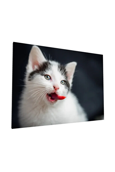 PozaTablou Pictură pe pânză: Pisicuță albă cu ochi strălucitori 40x30 cm