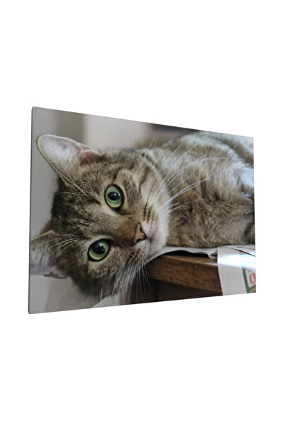 PozaTablou Pictură pe pânză: Portret de pisică cu ochi verzi (2) 40x30 cm