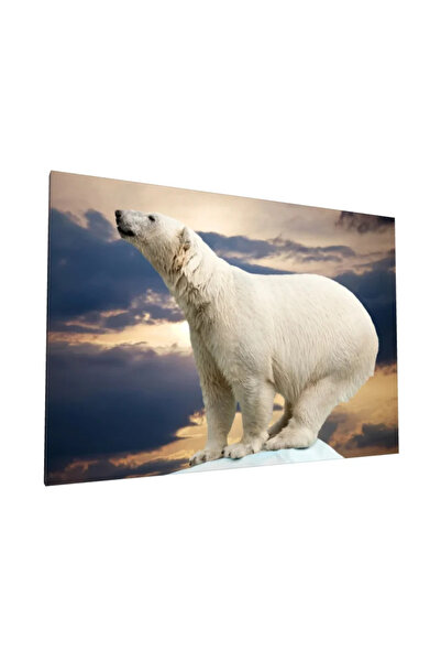 PozaTablou Pictură pe pânză - Urs polar la apus (40x30 cm)