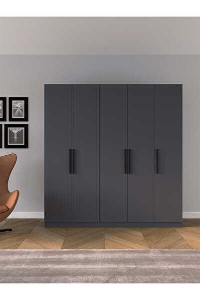 AYMOBSAN Niro 5 Kapaklı Gardrop, Askılı ve Raflı, 200 cm - Antrasit