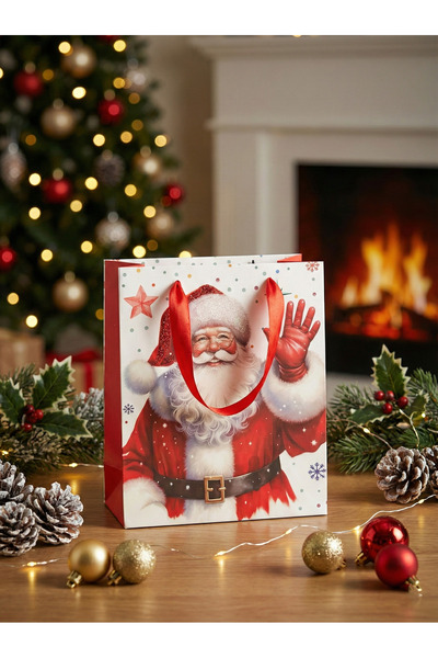 OEM Set of 12 Small Gift Bags - 04