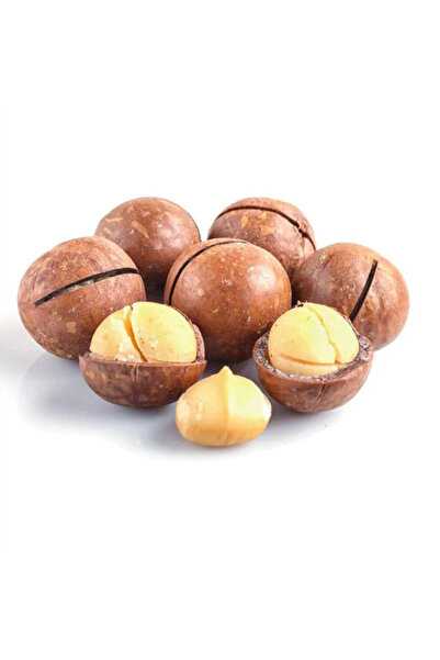 The Nuts مكسرات المكاديميا 500 جرام