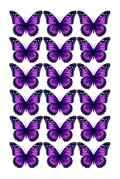 Rana İkra Art Karışık Renkli Kelebekli Sticker Seti (4 Sayfa)