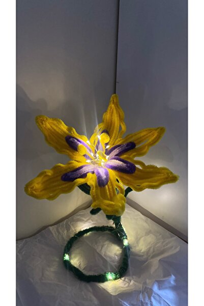 Florella ŞÖNİL İLE RAPUNZEL GECE LAMBASI YAPIM KİTİ