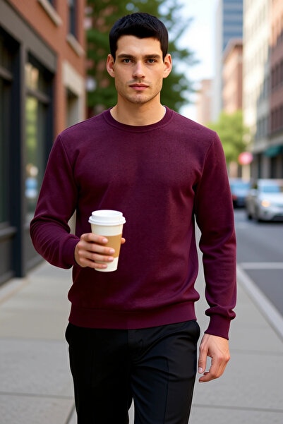 BENERLY Men's Crew Neck Standard Sleeve Regular Fit Sweatshirt Functional Dur...