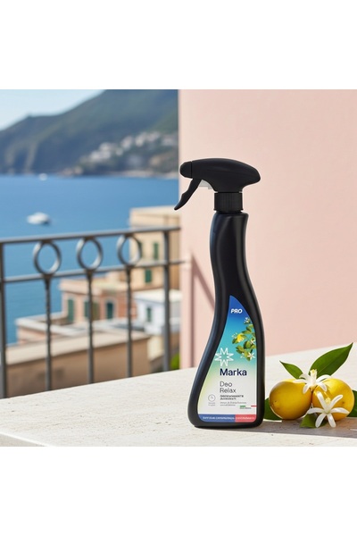 OEM Relax Deo Room Perfume, intense and persistent scent, with notes of Amalfi freshness, 500 ml