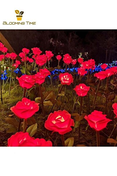 BLOOMING TIME مصباحان ورديان من الألياف الضوئية الشمسية - أحمر، مصباح LED يعمل بالطاقة الشمسية، مقاوم للماء، مثبتان على الأرض في الهواء الطلق