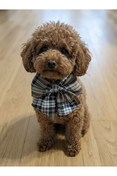 Patiset ربطة عنق للكلاب منقوشة باللون الرمادي - إكسسوار للحيوانات الأليفة يُع...