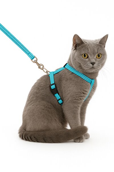 PHENORA Cat Collar – Adjustable Durable Pet Collar 1.20m