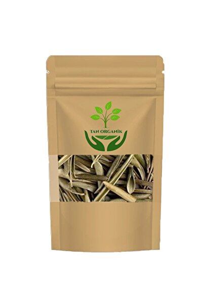 tan organik Olive Leaf 50gr