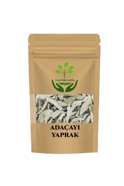 tan organik Sage leaf stem 50gr