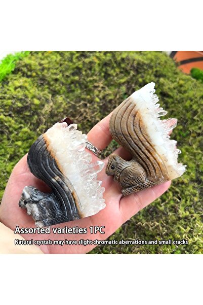 Choice قطعة واحدة عشوائية من زينة السنجاب من حجر الكوارتز الشفاف | ملصق معدني...