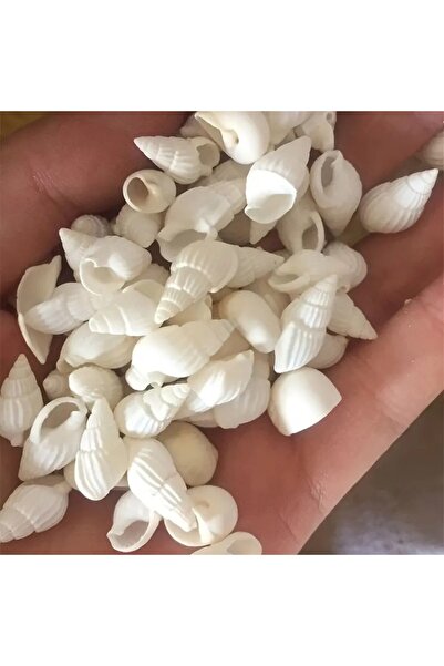 Choice 100 قطعة من أصداف المحار الصغيرة الطبيعية البيضاء - ذرة أرز حلزونية لل...