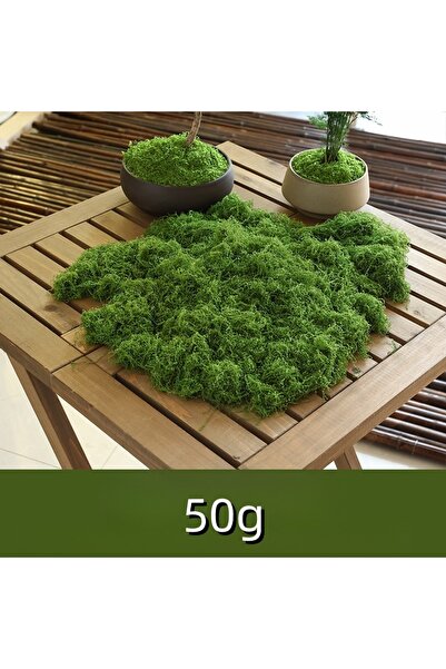 Choice 50 جرام من خيوط الطحالب الصناعية، طحالب العشب، الناس، الطحالب المزيفة ...