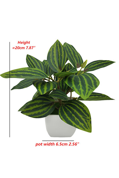 Choice كما يظهر نباتات اصطناعية صغيرة الحجم على شكل ورقة حواجب وأوراق بطيخ ونباتات مزيفة خضراء في أصيص حديقة منزلية