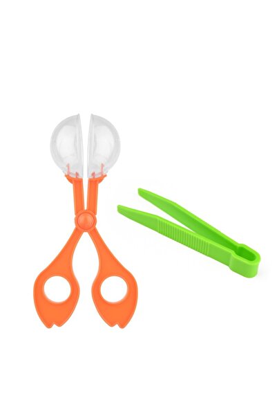 Choice 1set Practical Reptile Feeding Clamp, And Cleaning Tool Poop Scoop For Tortoise Frog Spider Cricket