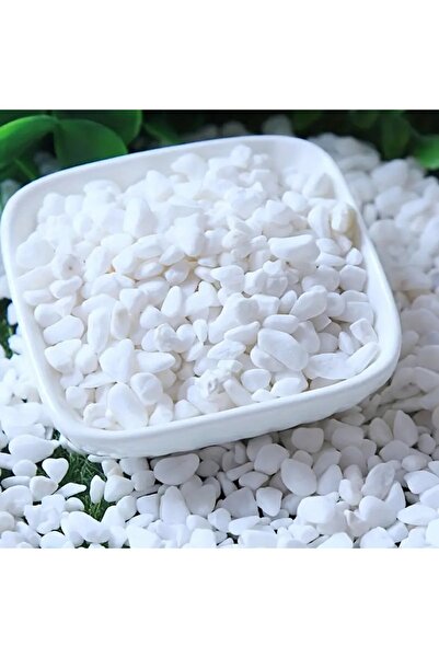 Choice 500 جرام 1.1 رطل 500 جرام/1.1 رطل أحجار حصى بيضاء مزخرفة لحوض السمك، ن...