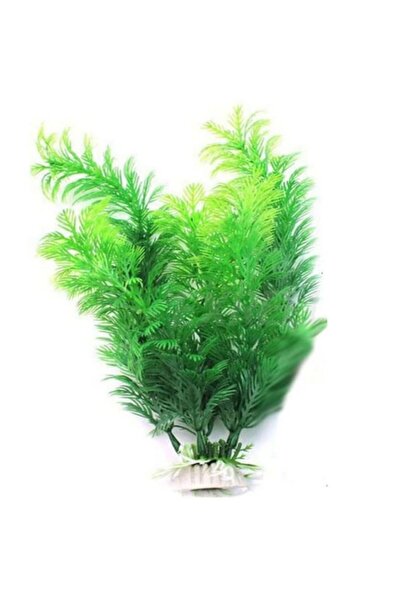 Choice زينة نباتات الزينة الخضراء لأحواض السمك، محاكاة بلاستيكية، عشب مائي صن...