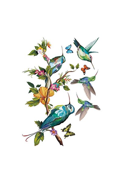 Yash Sticker autocolant, Crenguta decorativa cu pasari Colibri si fluturi, 50...