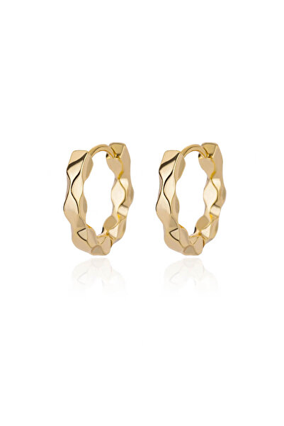 Choice E3120G-2 Elegant Round Earrings for Women Girls Luxury Stainless Steel...