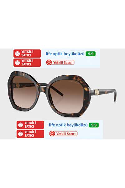 Giorgio Armani 8180 5026/13 54 19 140 3N