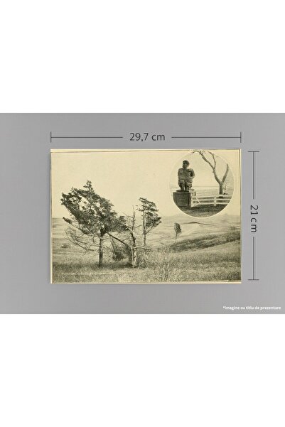 VreauPoster Poster A4 Long Island New York 1901, Vintage Photos, Camera Sketc...