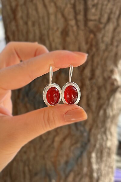 Erer Gümüş Gümüş akik taşlı sallantılı küpe hs4d4