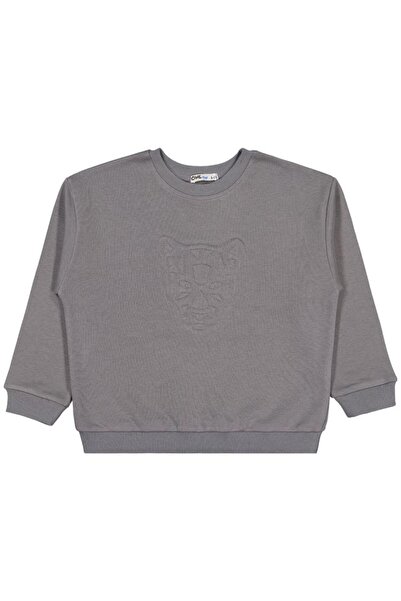 Civil Boys Lion Embroidered 6-9 Years Old Sweatshirt - Gray 6-7 Years Old