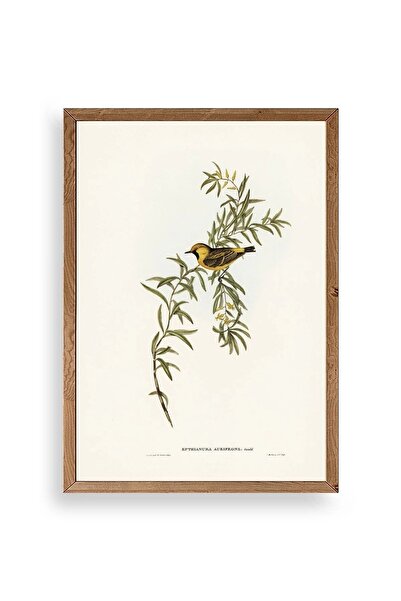 CT STONES Bird on the Branch Wooden Framed Painting